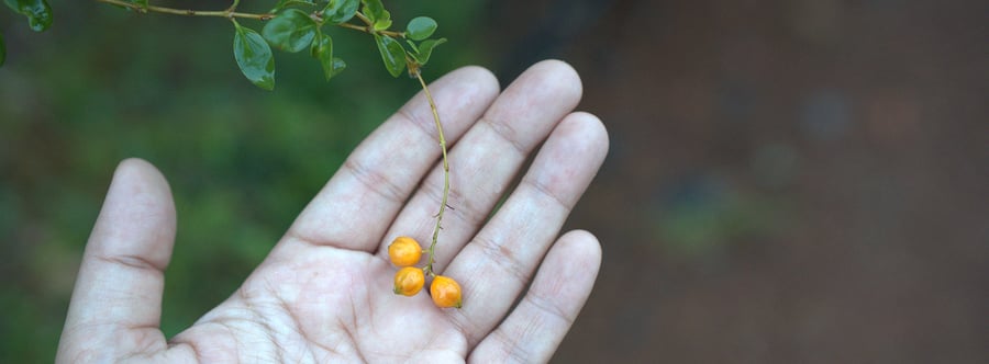 Our Theory Of Prosperity