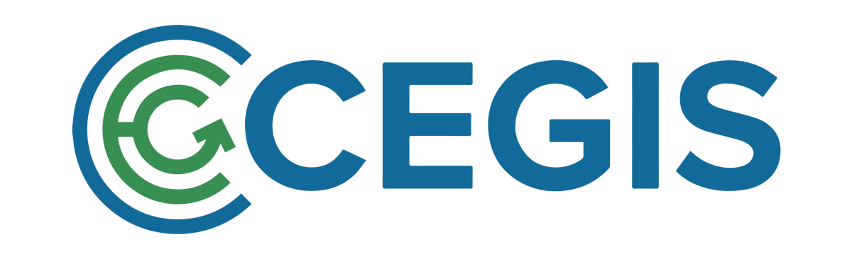 CEGIS