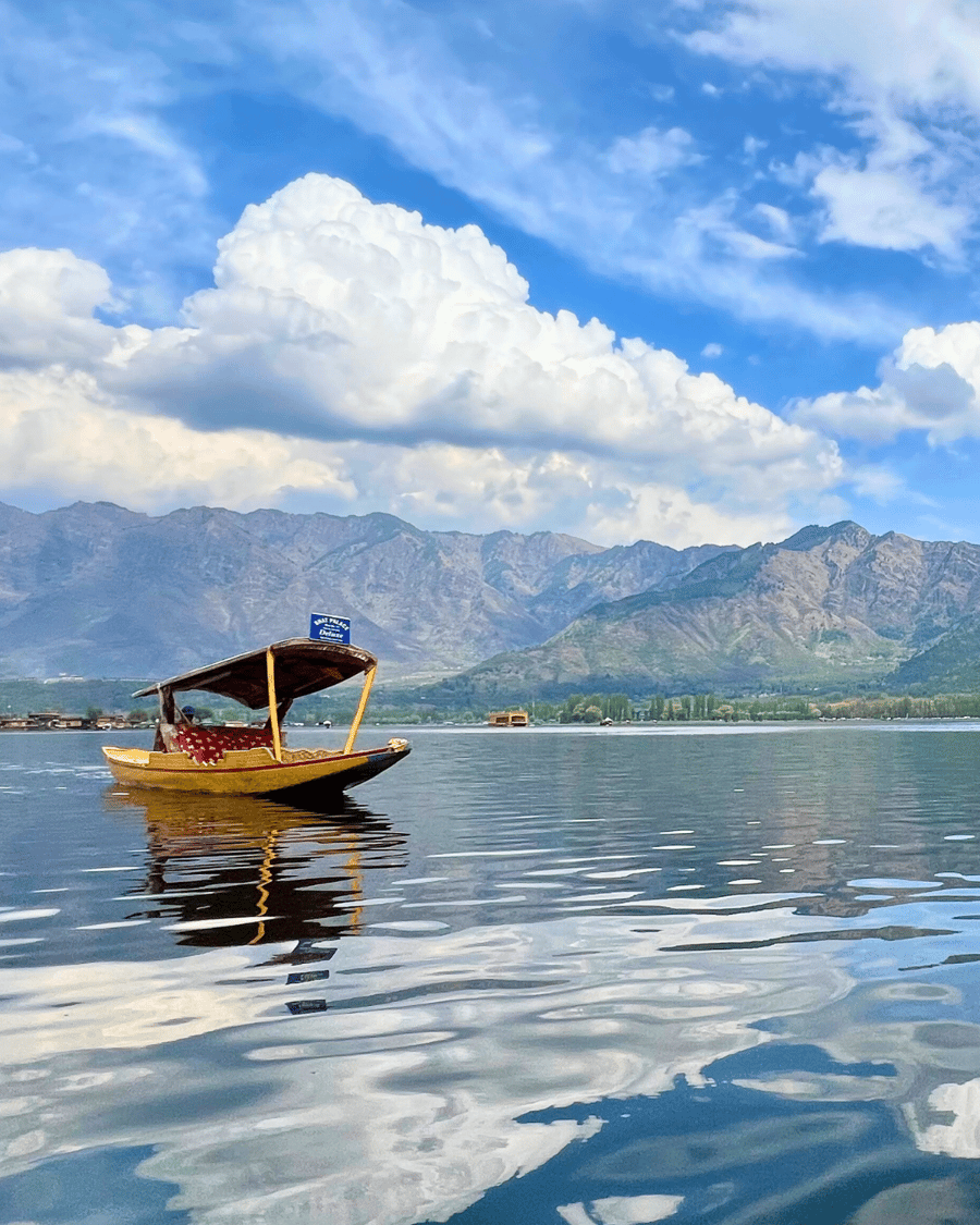 A shikara on the still water of a Kashmir lake